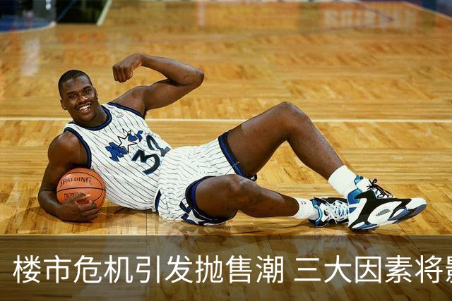 楼市危机引发抛售潮 三大因素将影响明年房价预测